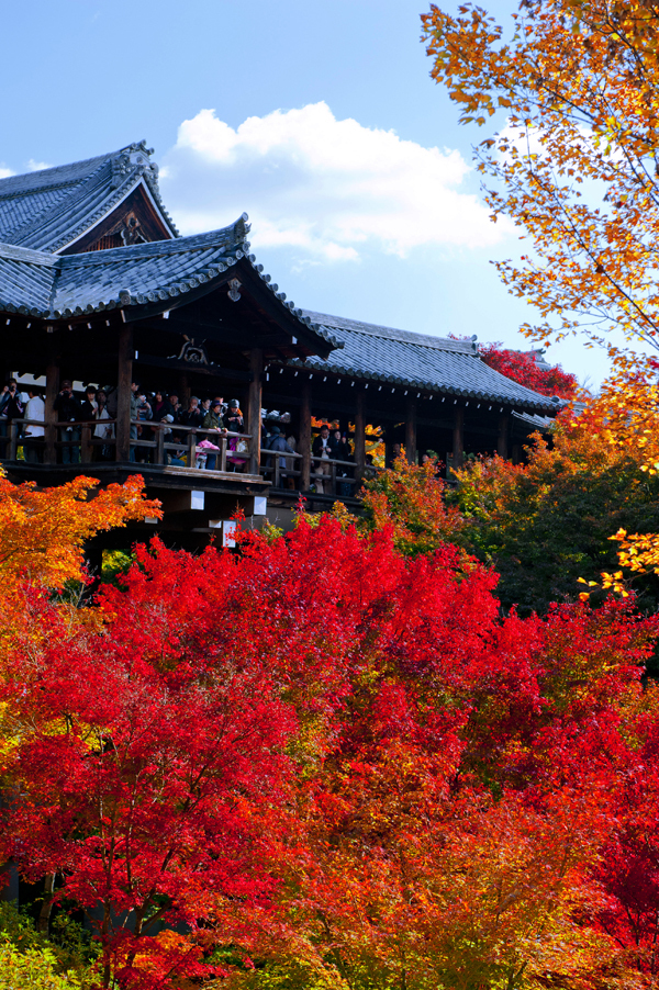 紅葉と言えば東福寺