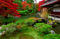 彩られた銀閣寺