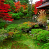 彩られた銀閣寺