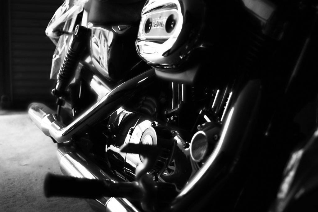 easy rider