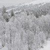 -18度の世界