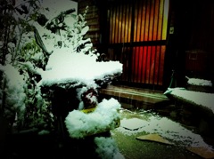 居酒屋