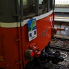 登山電車　１０３型　強羅行き