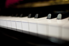 Ebony and Ivory