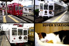 たま電と仲間たち