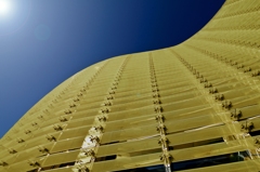 Blue & Gold