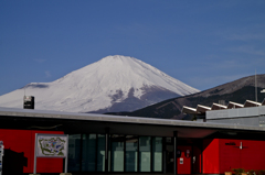 トリコロール