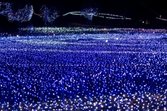 光の海