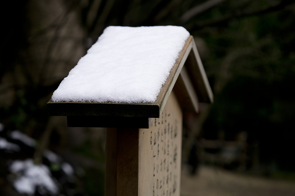 雪の朝