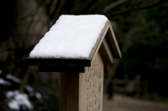 雪の朝