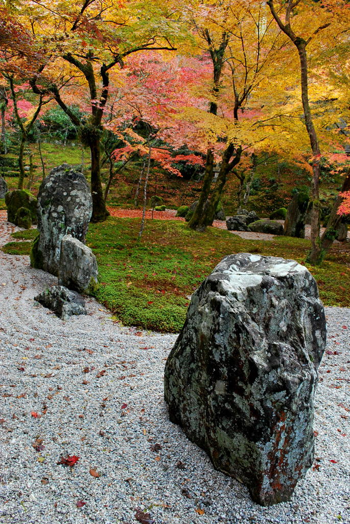 光明禅寺の紅葉