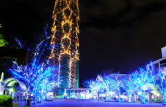 福岡タワーのクリスマスツリー