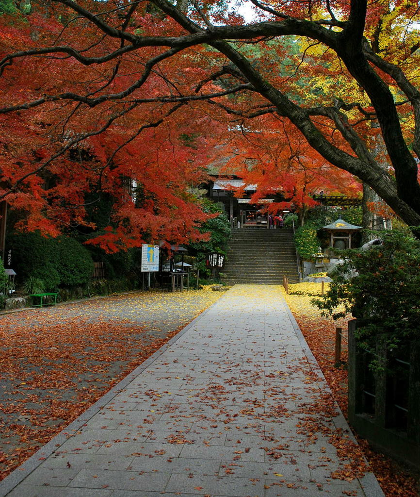 晩秋の大興善寺