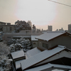 雪の朝