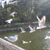 飛翔～光へ～