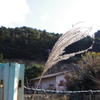 日の光を浴びて