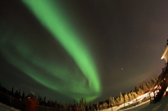 AURORA