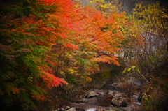 王滝村の紅葉