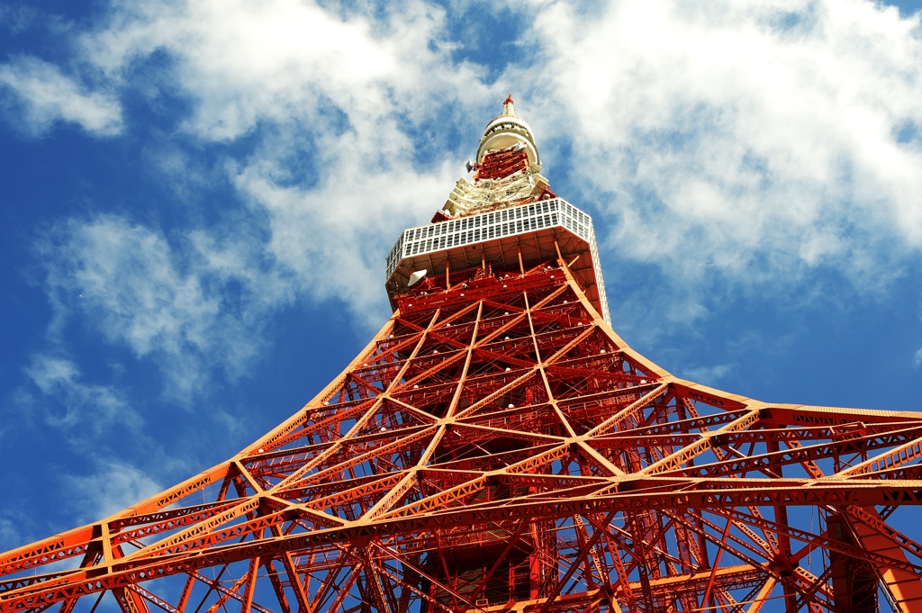 tokyo tower blue back