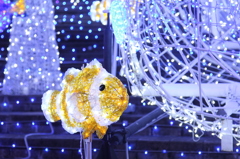 20111202_KAIYUKAN07