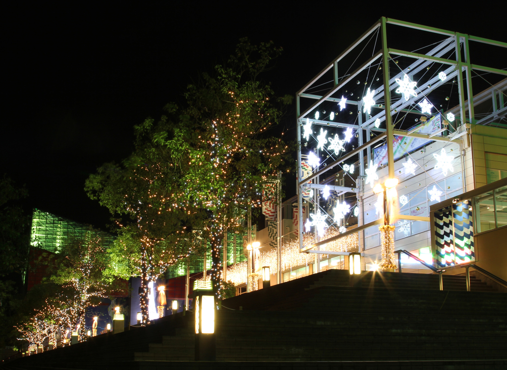 20111202_KAIYUKAN01