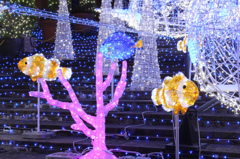20111202_KAIYUKAN03