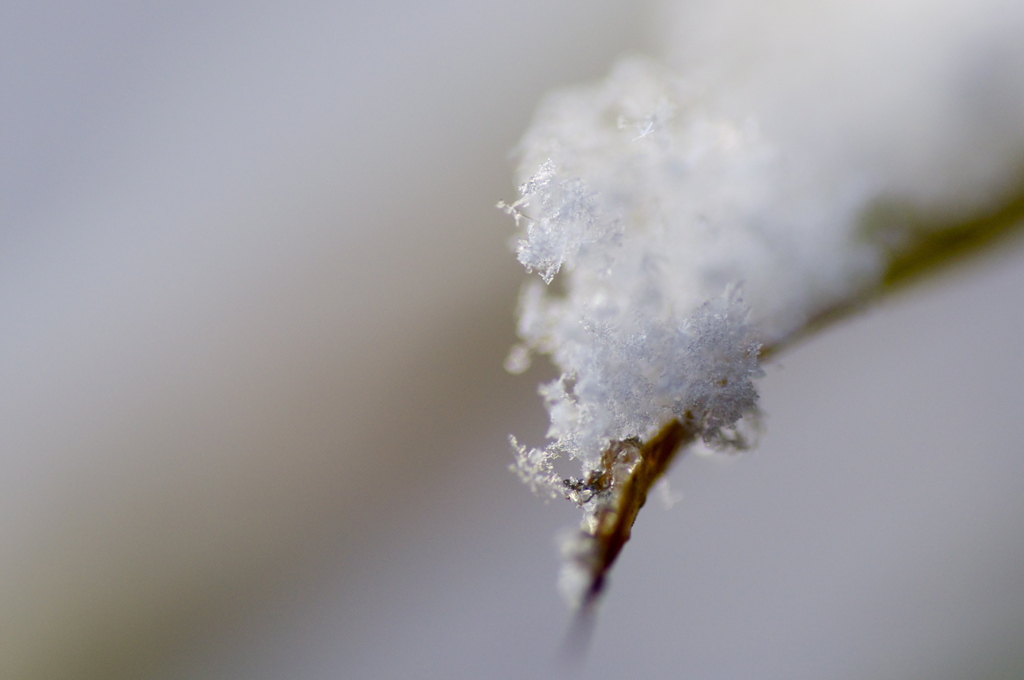 雪の日１