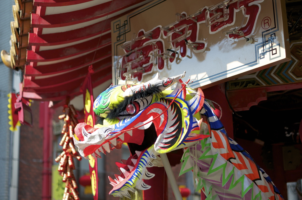 昇り龍に願いを込めて