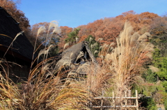 日本民家園