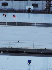 スピードスケート