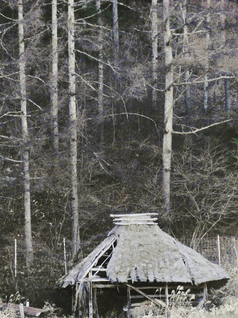 跡