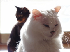 別れの予感