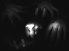 hands