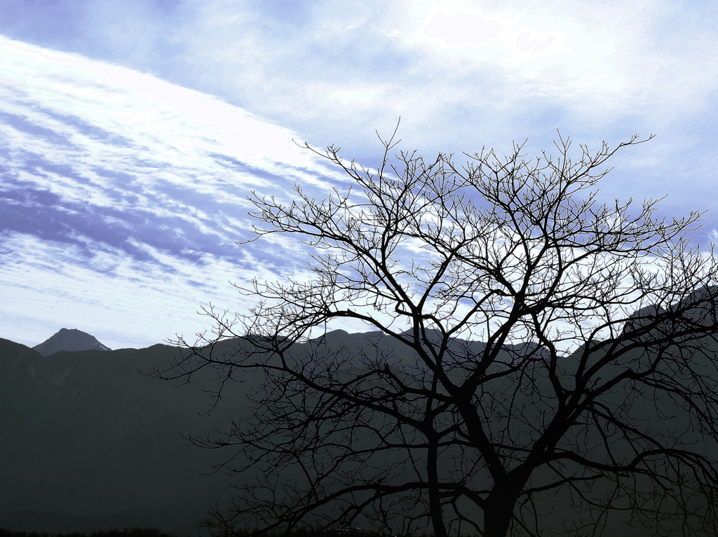 木と山と空
