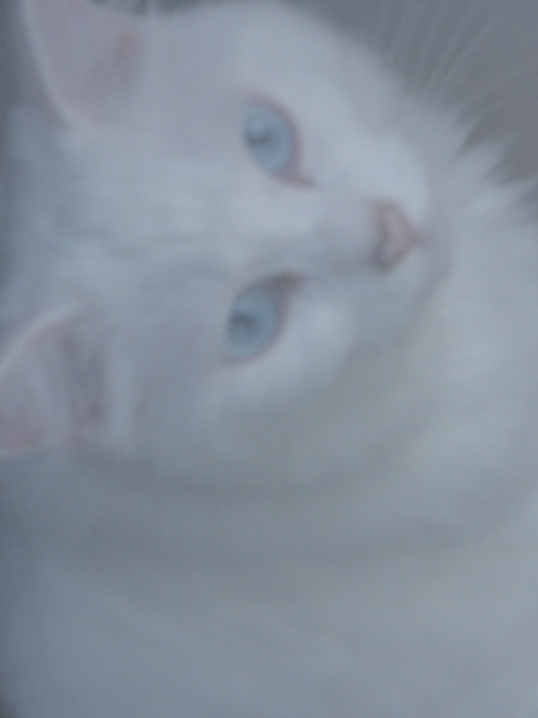しめくくり