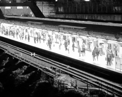 Platform