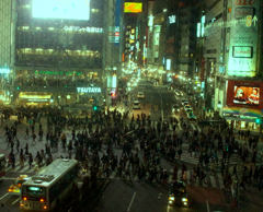 Shibuya at Night #14