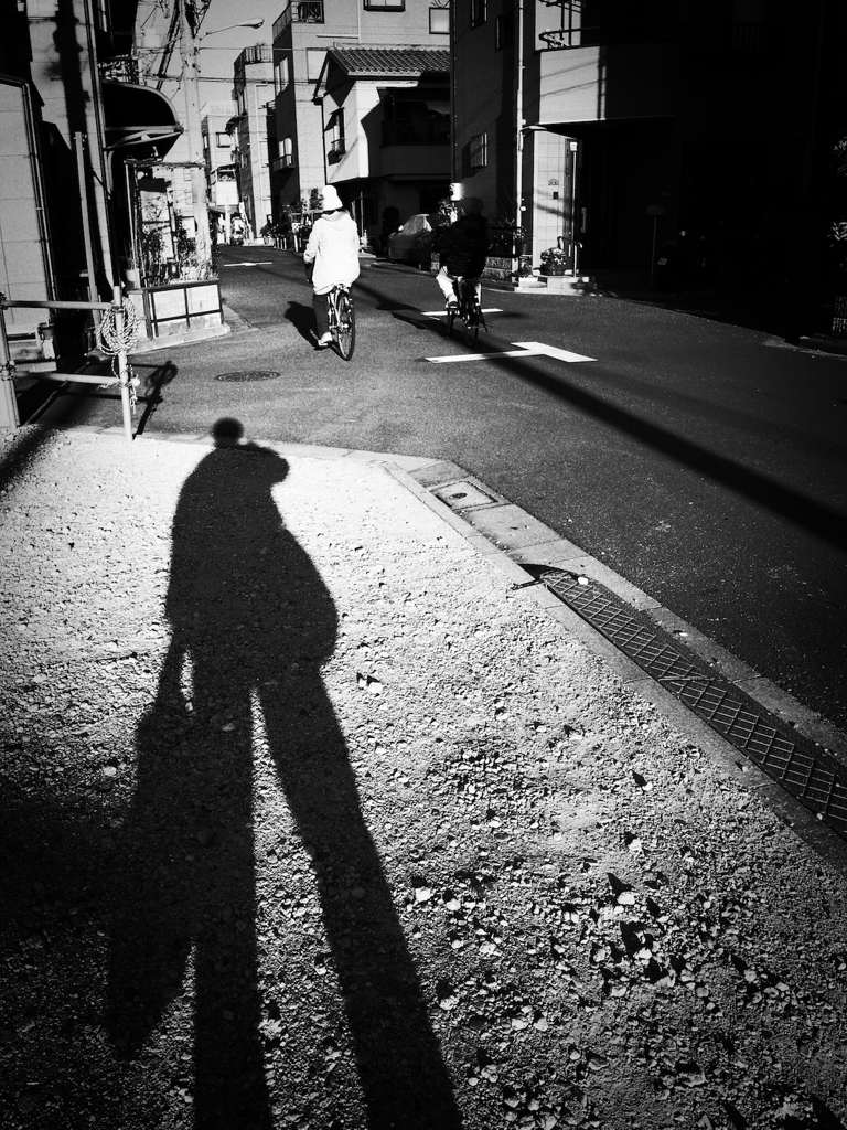 On a Bright and Sunny Day in Winter #07