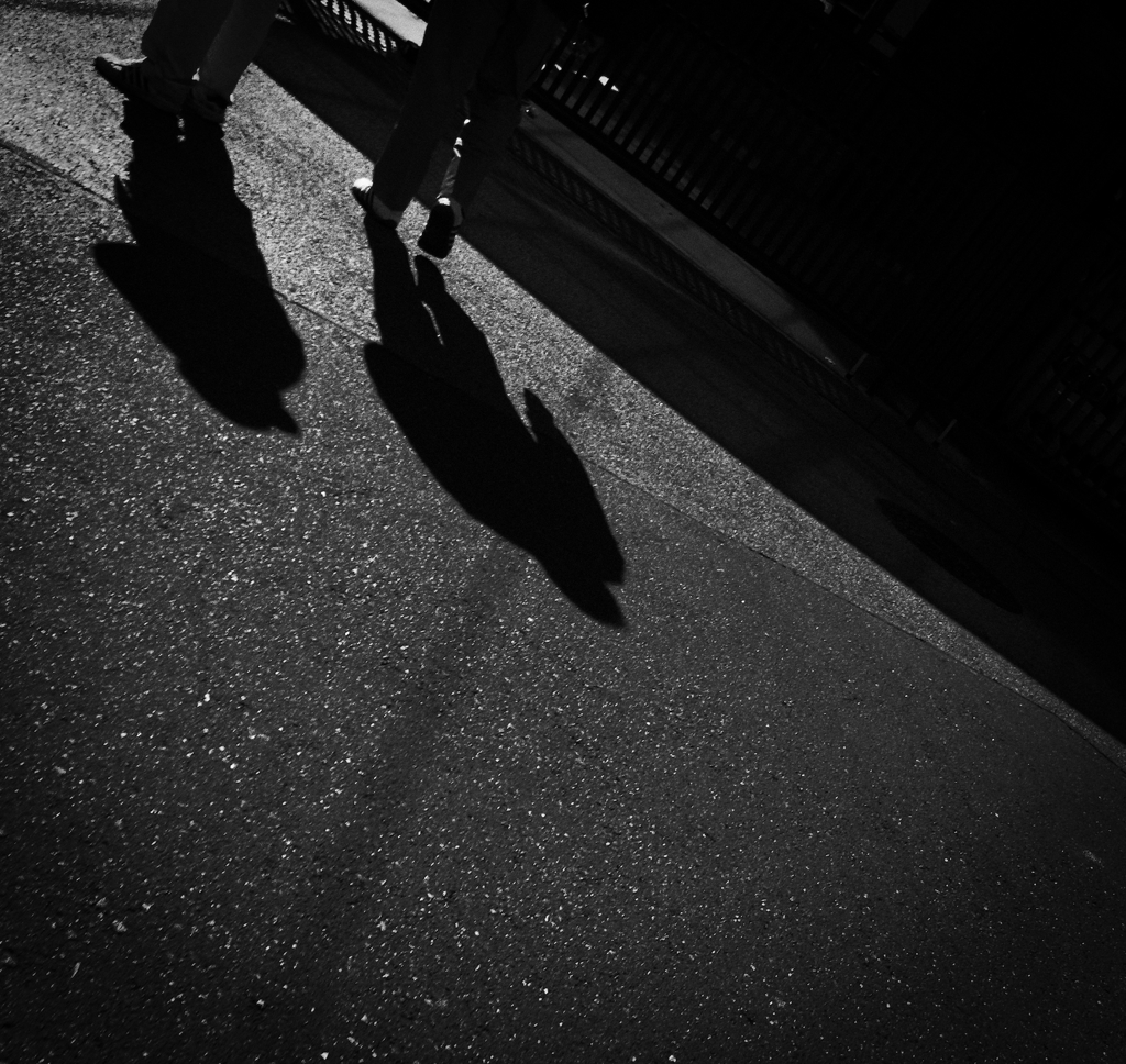On a Bright and Sunny Day in Winter #04