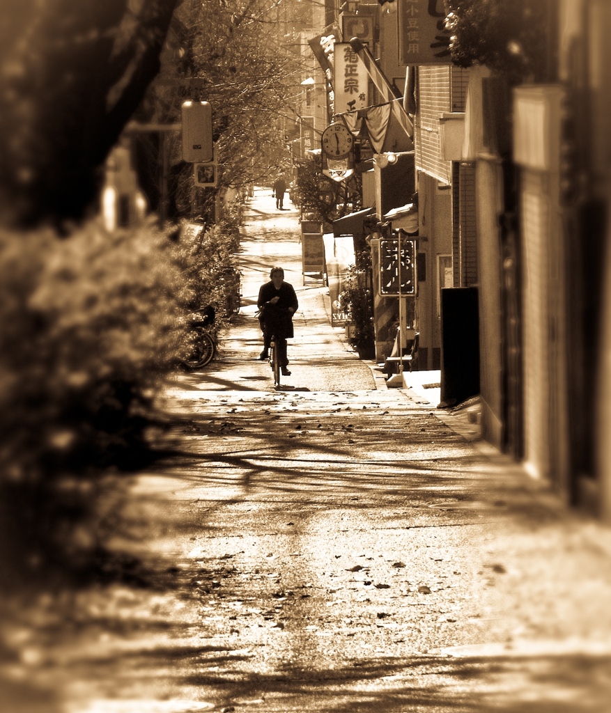 Winter Light on a Pavement