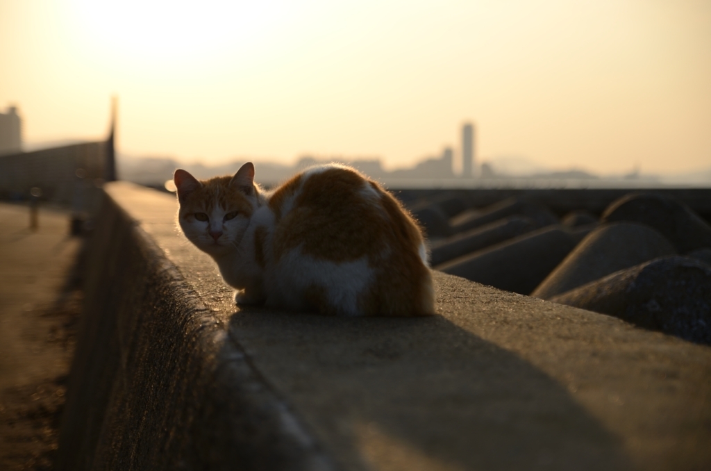 日光浴