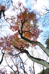 仲良し