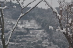 深々と雪積もる