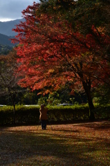 てる山もみじ