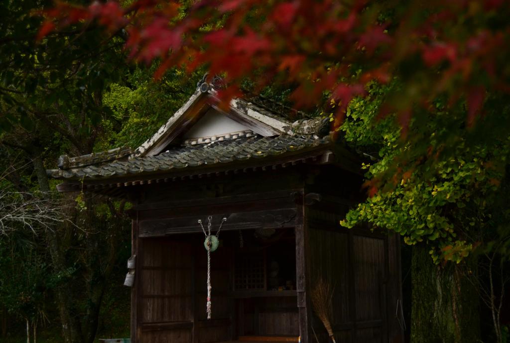 紅葉添田町～小石原～秋月 