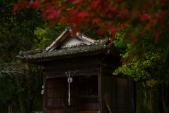 紅葉添田町～小石原～秋月 