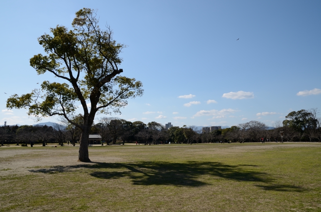 Today's Ohori Park