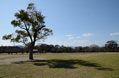 Today's Ohori Park