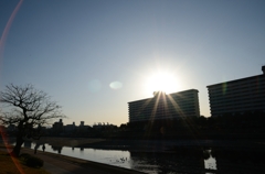 室見川３
