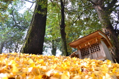 何処まで積の